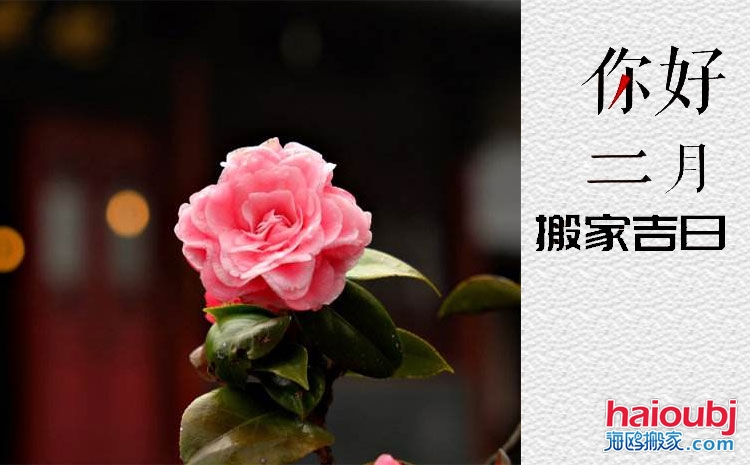 2019年2月搬家黃道吉日查詢.jpg