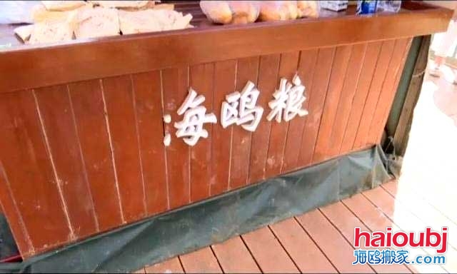昆明海鷗搬家稱一老板返鄉(xiāng)探病，留下鷗糧供游客投喂結(jié)果出乎意料.jpg