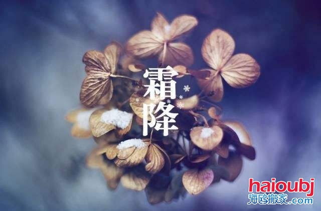 2019年霜降的第二天可以搬家嗎，如果搬家需要注意些什么？.jpg